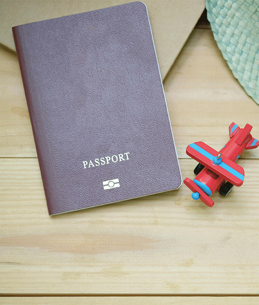 E-Visa Application